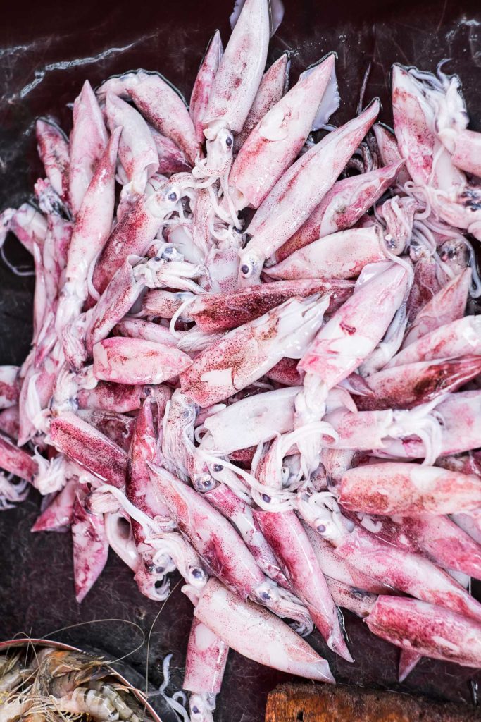 Fresh Squid at the fish market just outside of the Galle Fort, Sri Lanka Food Photography We Eat Together