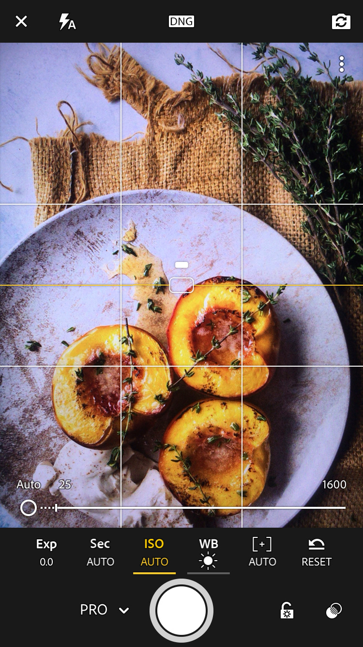 Lightroom Mobile App Changing The ISO, WB, Shutter Speed and Manual Focus For the smartphone Camera