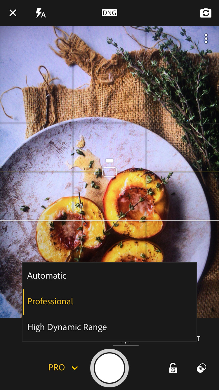 Lightroom Mobile App Changing The Camera Settings On smartphone To Professional