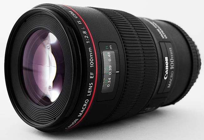 REVIEW - Canon EF 100mm f/2.8L Macro IS USM Lens - We Eat Together