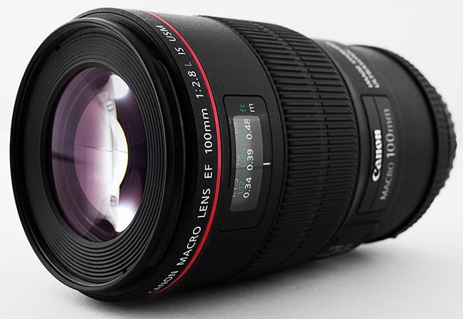 REVIEW - Canon EF 100mm f/2.8L Macro IS USM Lens - We Eat