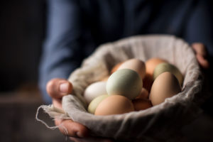 Fresh Eggs From The Farm We Eat Together Food Photography