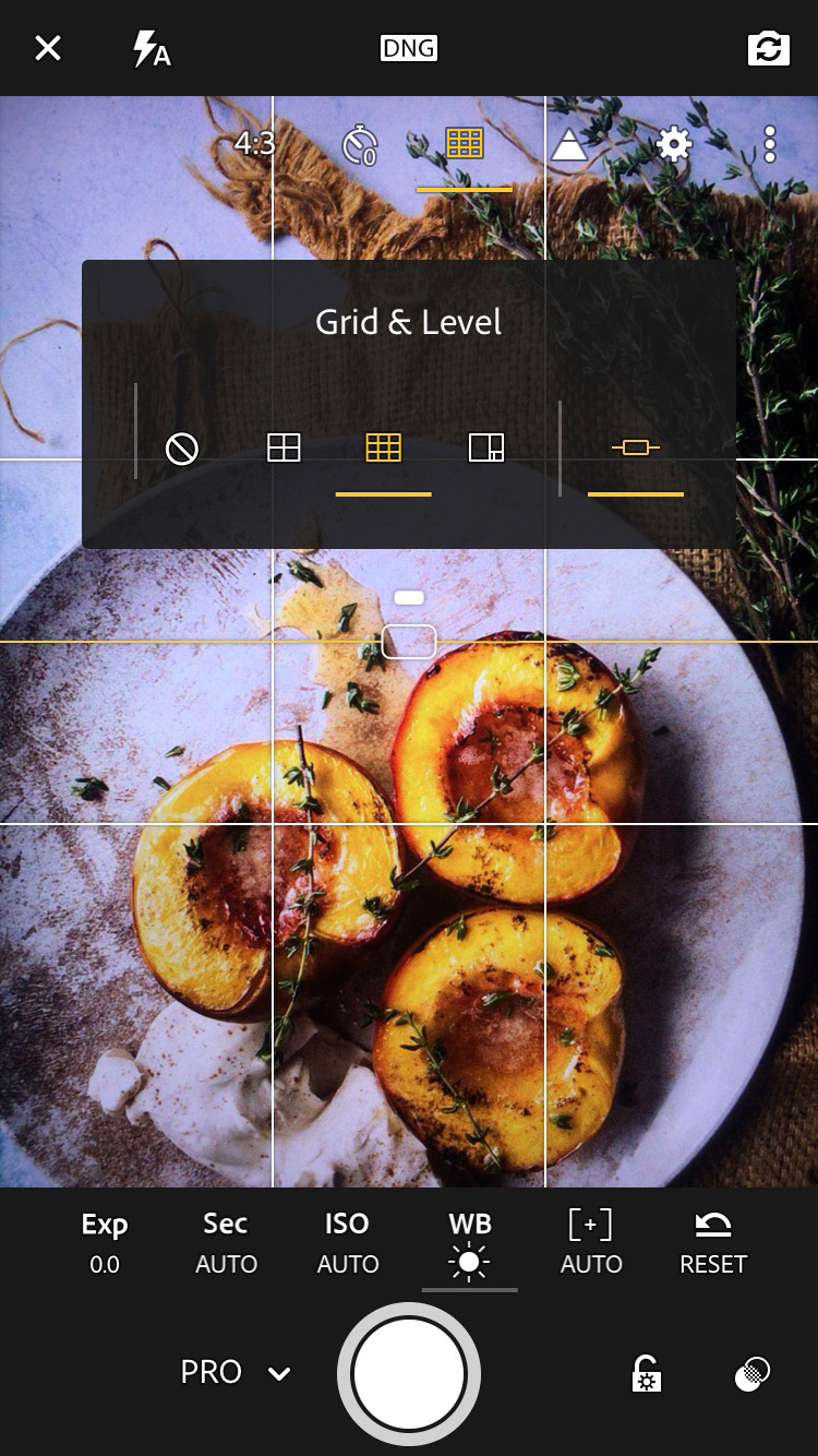 Lightroom Mobile App Changing The Grid and Level Overlay on smartphone camera